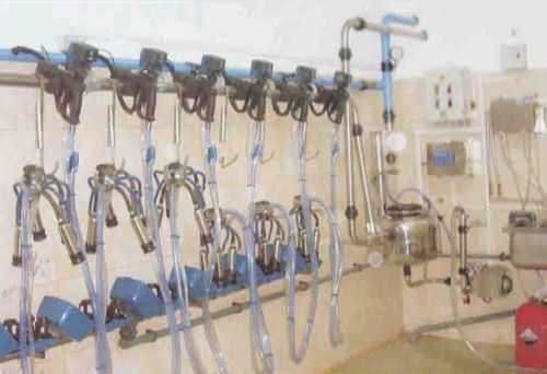 Pipeline Milking Machine