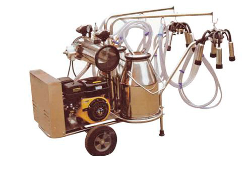 Model 9JNQ-II vacuum pump