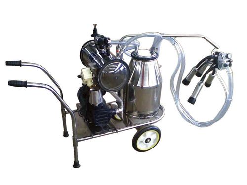 Model 9JNW-I vacuum pump